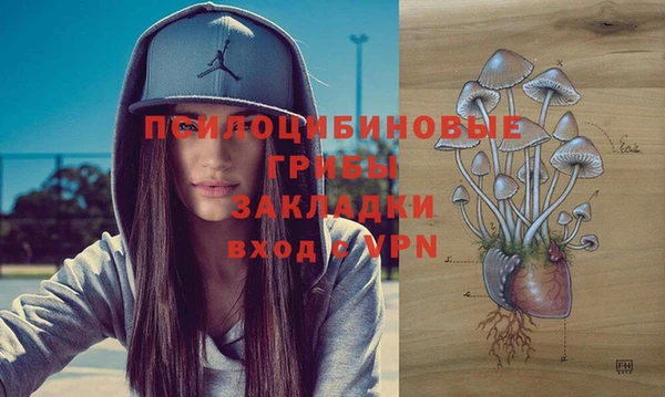 героин Алексин