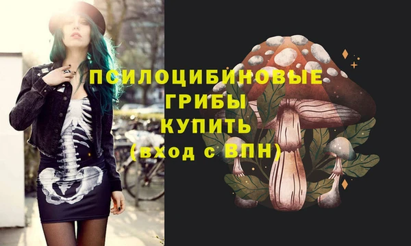 героин Алексин