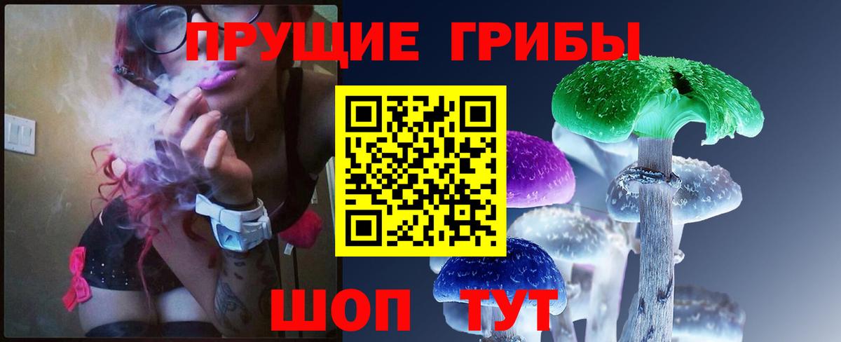 Астрахань  Псилоцибиновые грибы мицелий  купить наркотики цена  Вход с VPN  Галлюциногенные грибы Magic Shrooms 