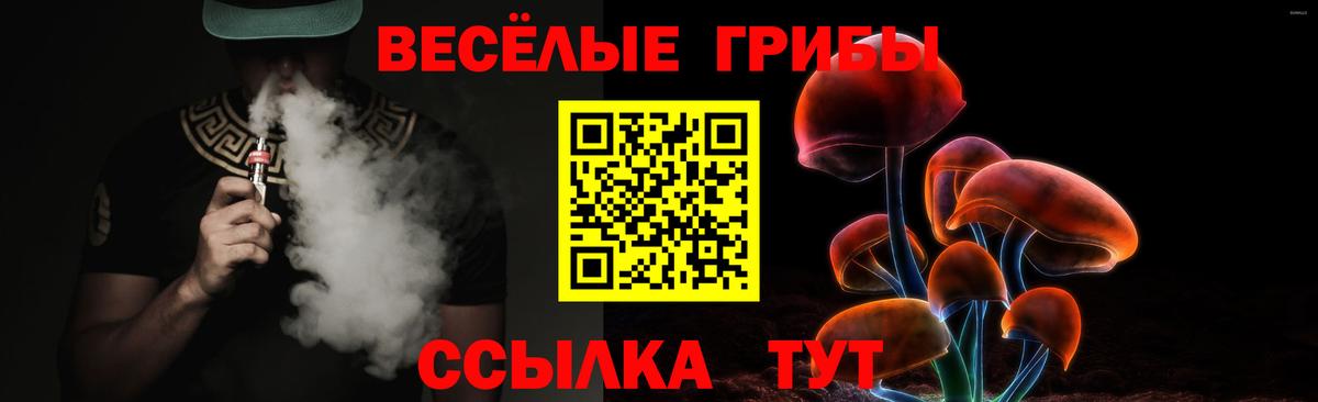 Псилоцибиновые грибы мухоморы Астрахань