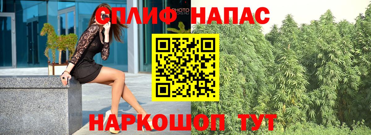 Конопля гибрид Астрахань